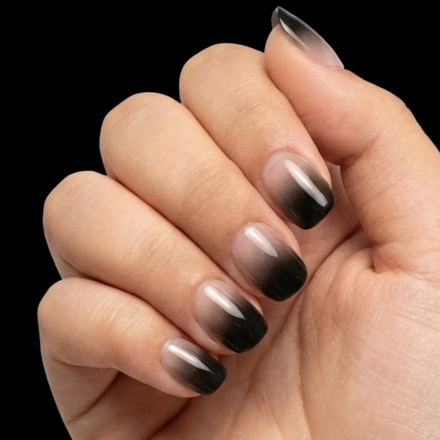 Dusk to Dark press-on nail set - extra-short squoval nails with black-to-clear ombre gradient and glossy finish, dorsal view